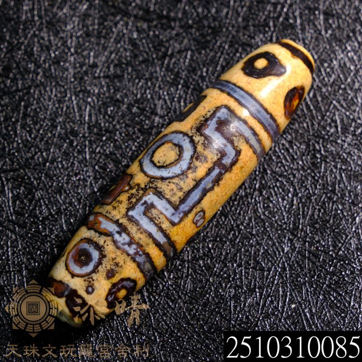 2510310085