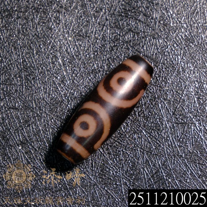 2511210025