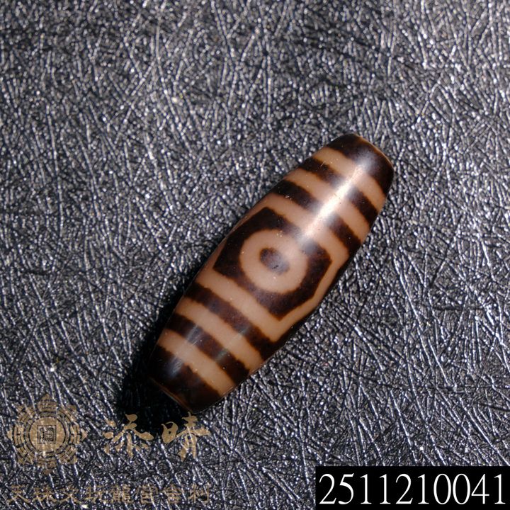 2511210041