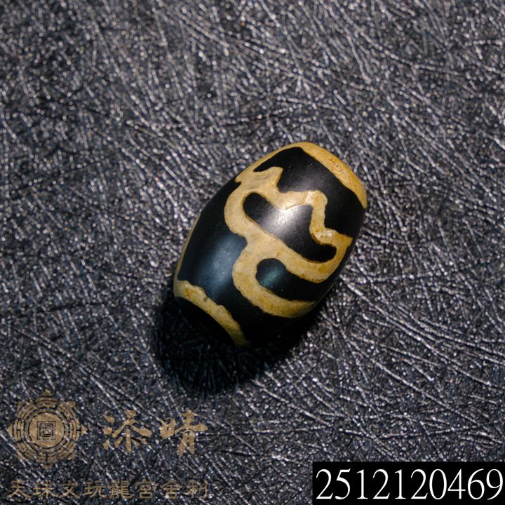 2512120469