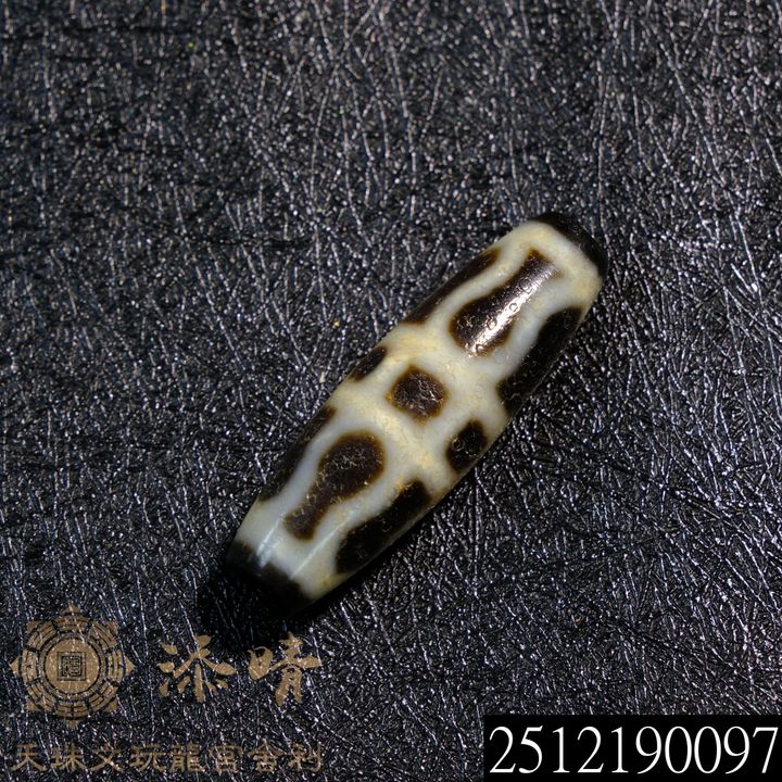 2512190097