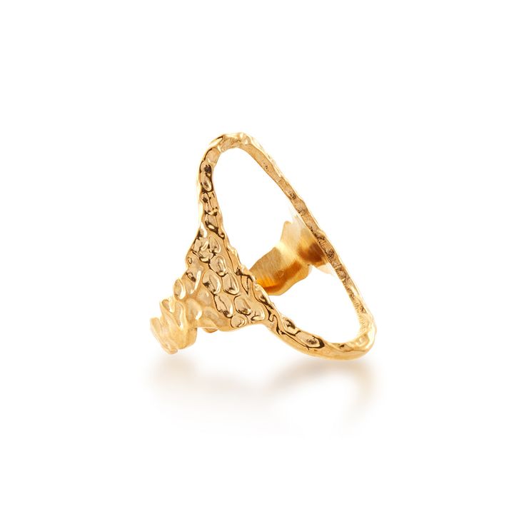 隕石 可調式戒指 Meteorite Ring