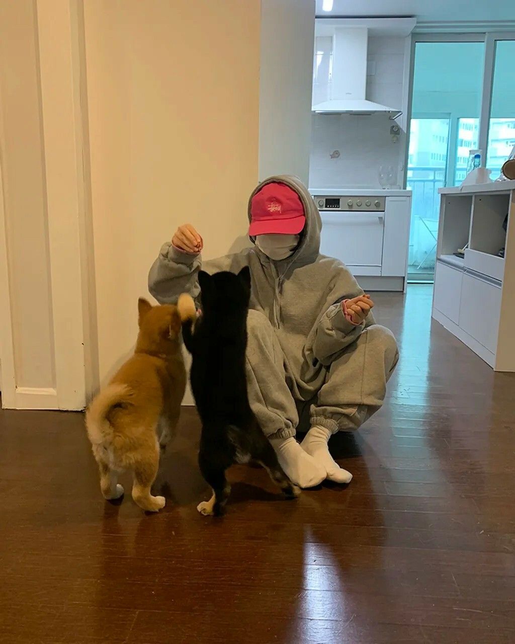 messageImage_1664878516859