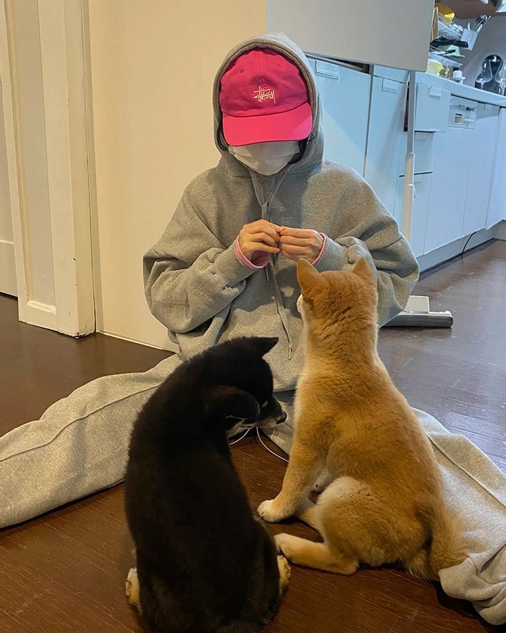 messageImage_1664878521330