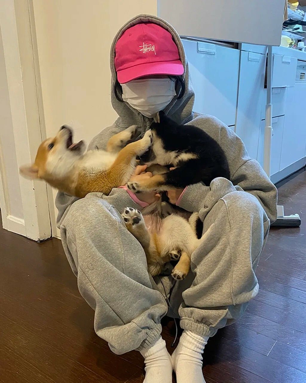 messageImage_1664878519265