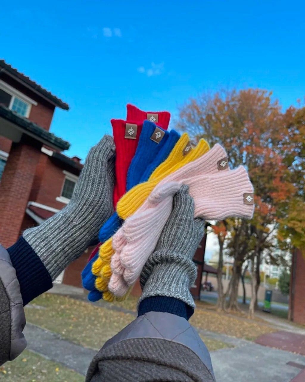 messageImage_1667653060664