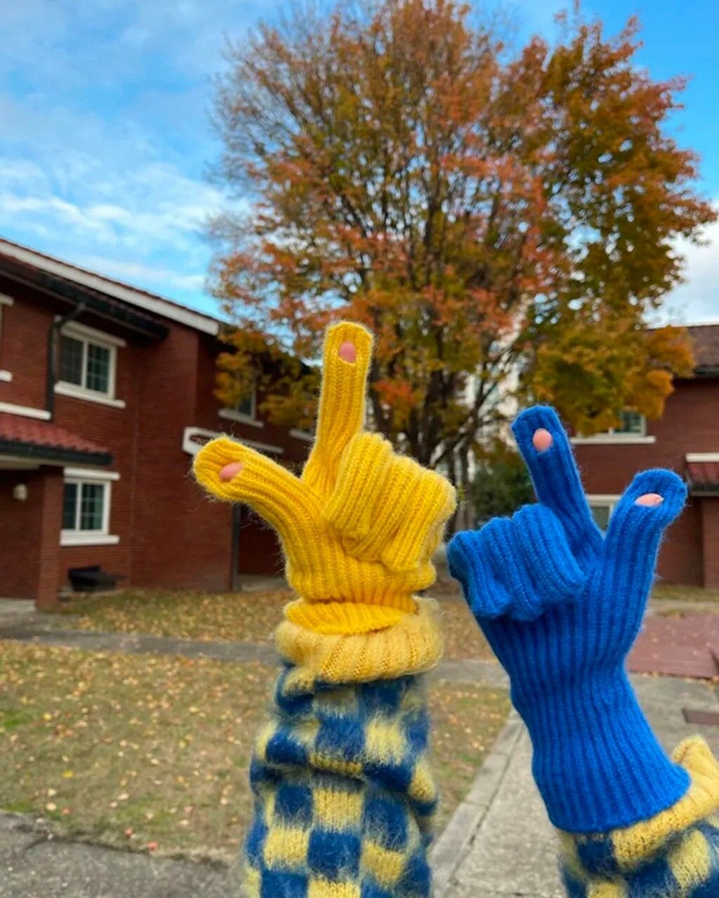 messageImage_1667653014698