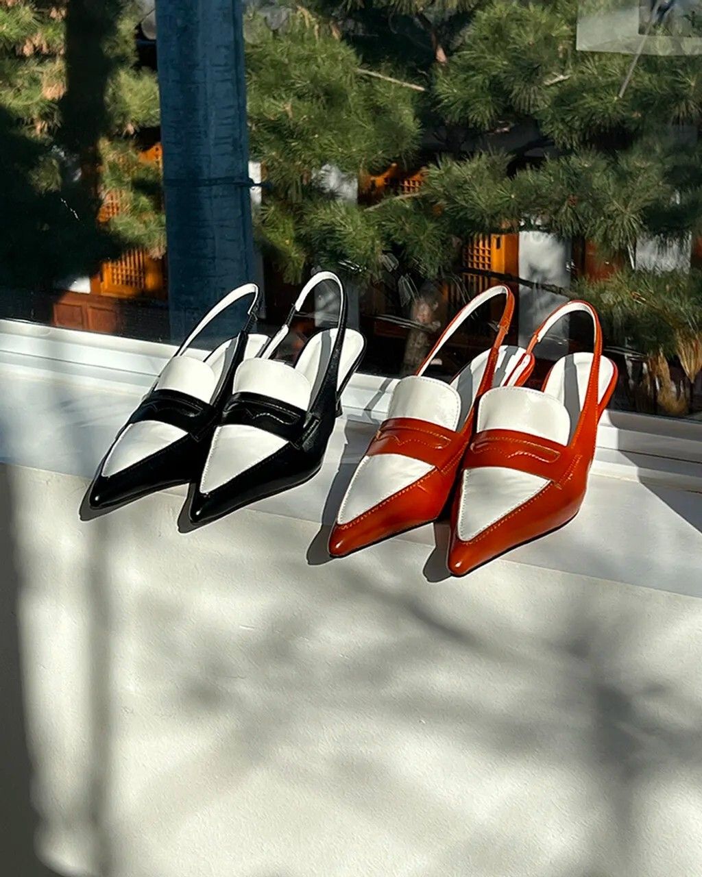 messageImage_1678510713556