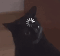 加载中