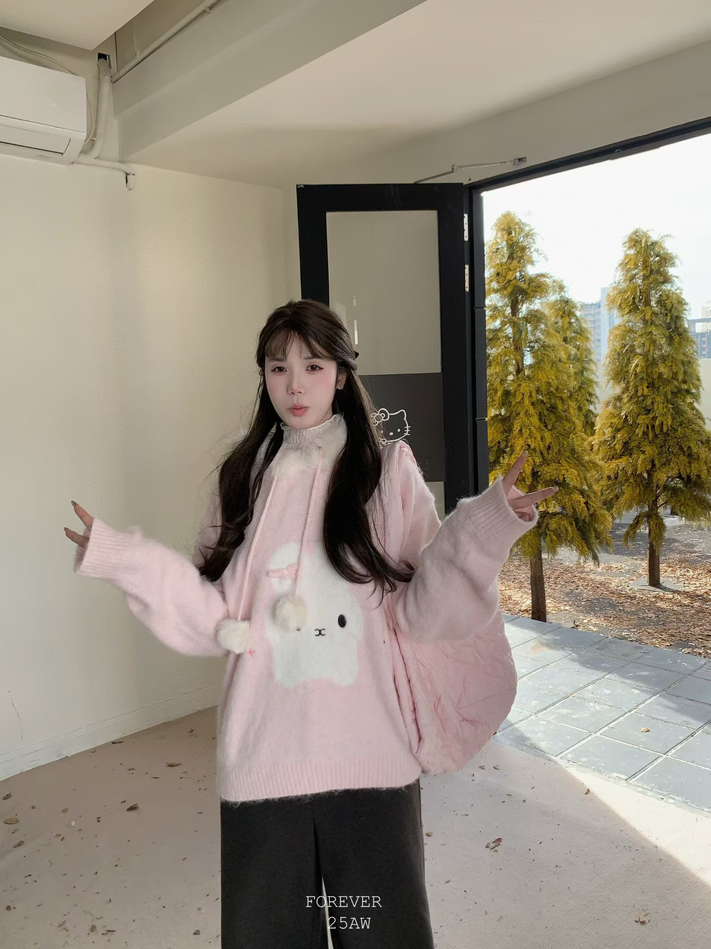 image_11043566-F4B8-4740-A2EB-D5B3EF6A65CC_1763228225