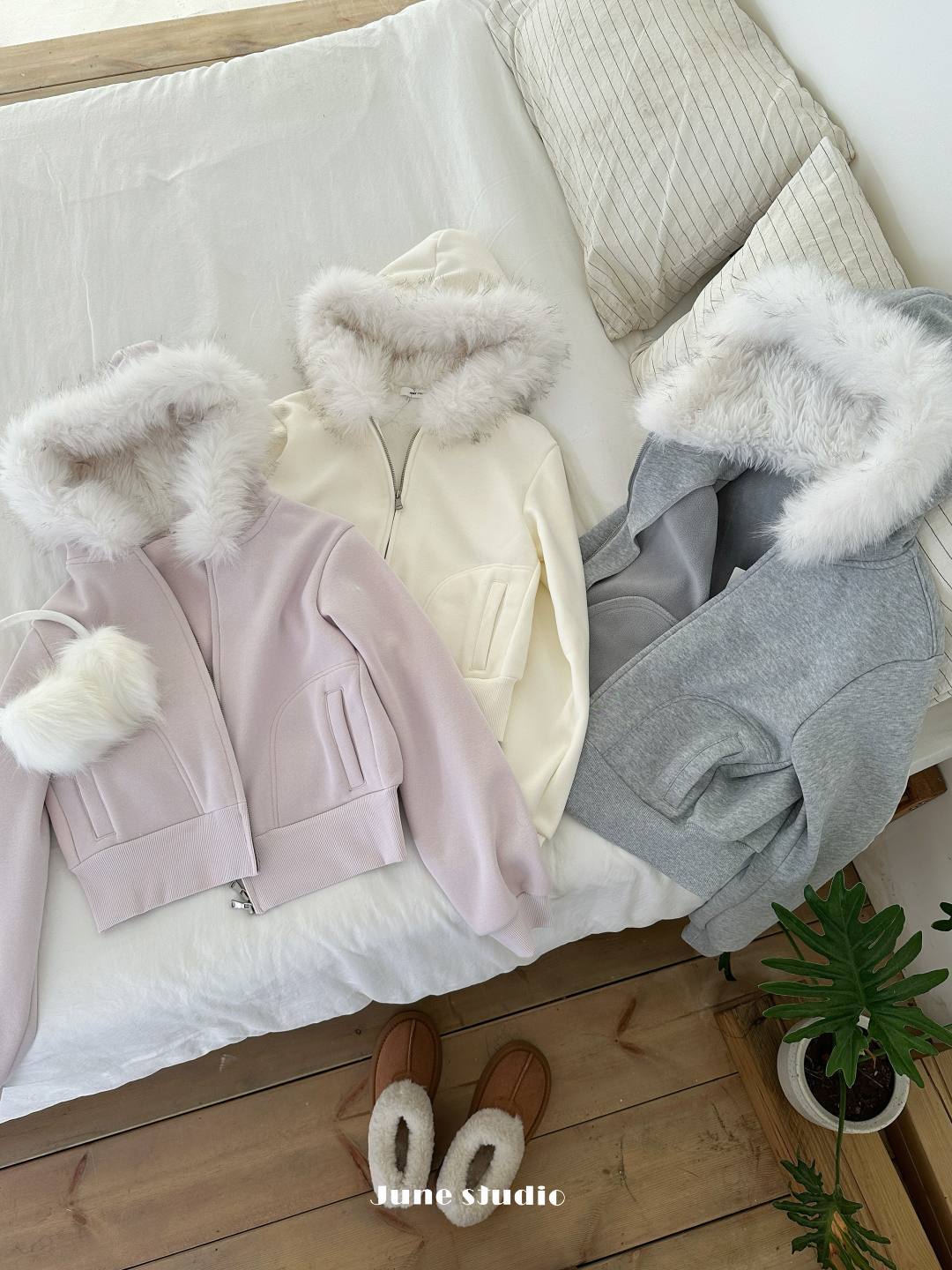 image_A2D5E3AE-EC90-4F4B-B6D1-54F20740613C_1765340230