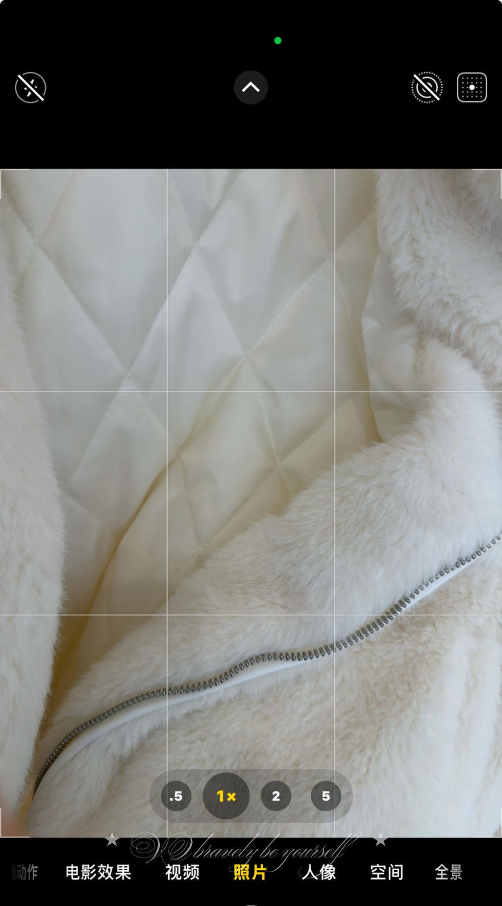 image_3905E750-A542-43FF-B7D7-13BA0839DC32_1765340404