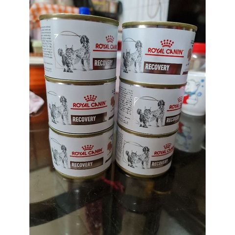 Royal canin recovery dog can food 195g soft food recovery care ...