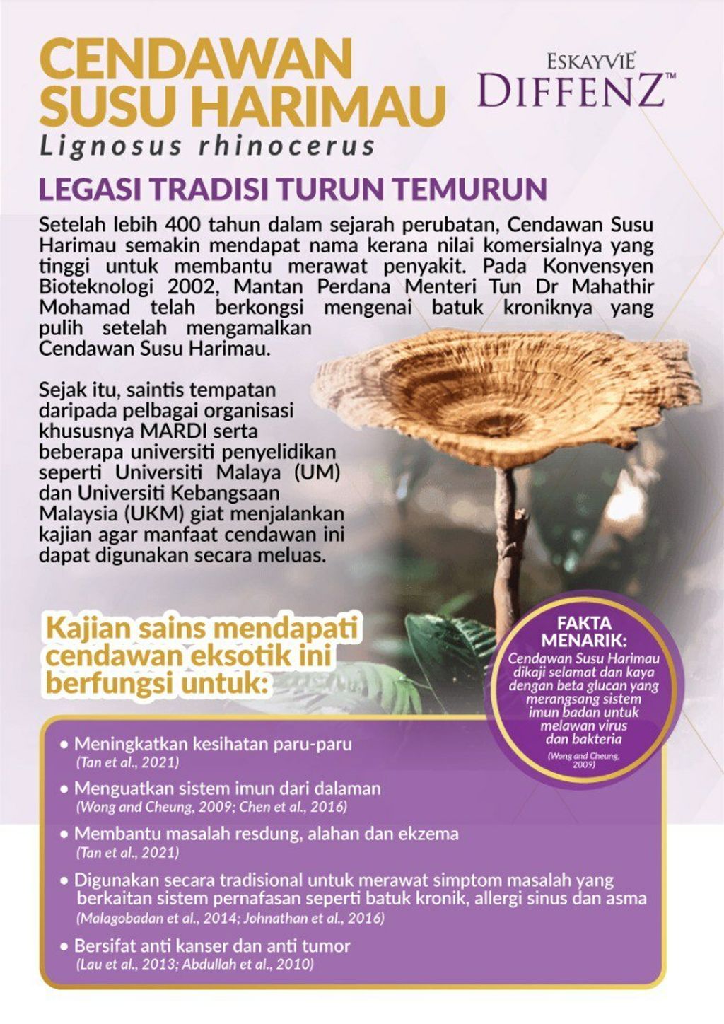 diffenze cendawan susu harimau.jpg