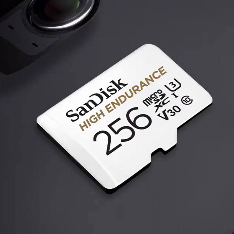 SANDISK HIGH 256GB-5_.jpg