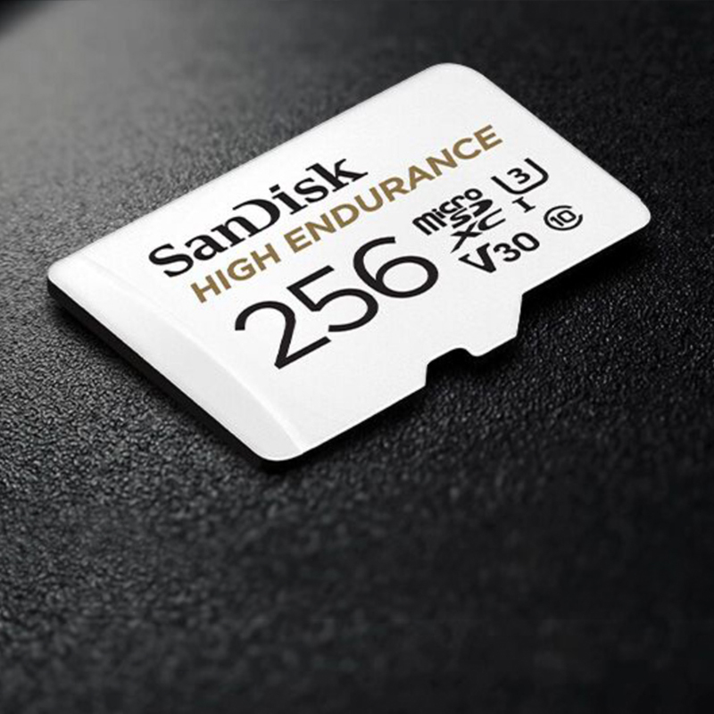 SANDISK HIGH 256GB-6_.jpg