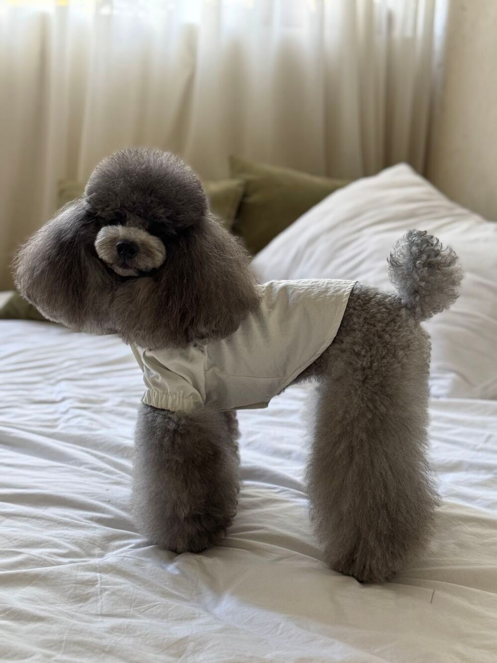 IMG_4501
