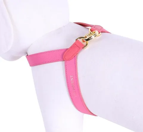 68ACEBE3-6BDA-48DC-B736-77017C599552