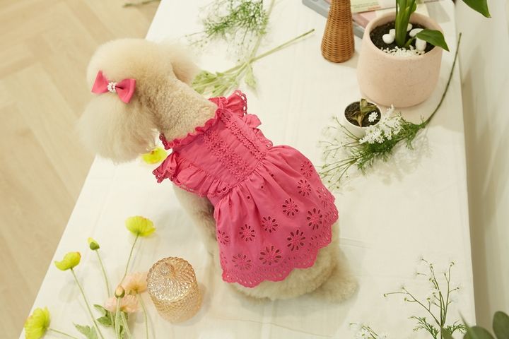 CBC0BAFA-470C-425F-A2B4-42A11EFD27DF