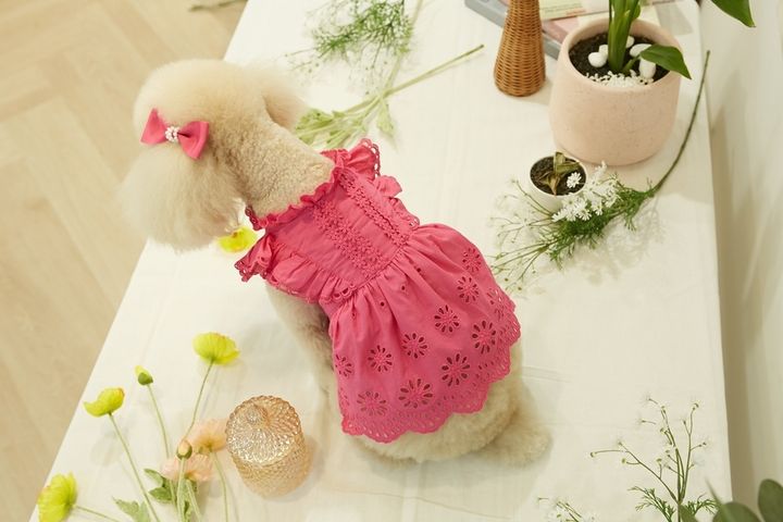 CBC0BAFA-470C-425F-A2B4-42A11EFD27DF
