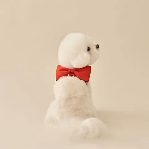 7D297BBE-9B34-4A02-9BA2-F54FA0E73687