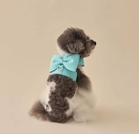 5984DD63-47A2-4118-960A-5C6273A23CE1