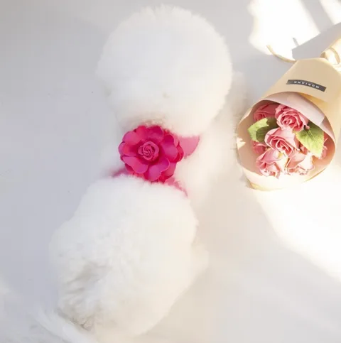 C95E18CA-404D-4CB0-8C0D-B92761EBB517