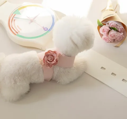 FCE3776B-DFFA-46FA-985E-DAC9489B029A