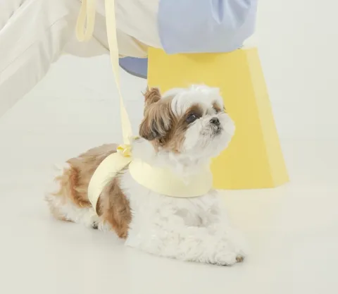 0A3CFDC7-A151-4B68-849A-2DA98954946E