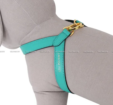 709E2EF4-8B48-4985-87E9-FEB88D539CFB