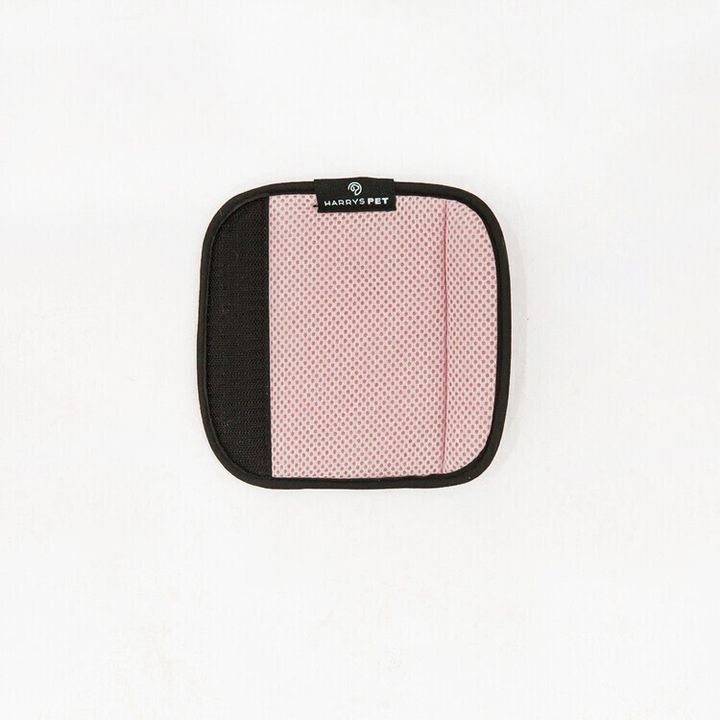 IMG_6794