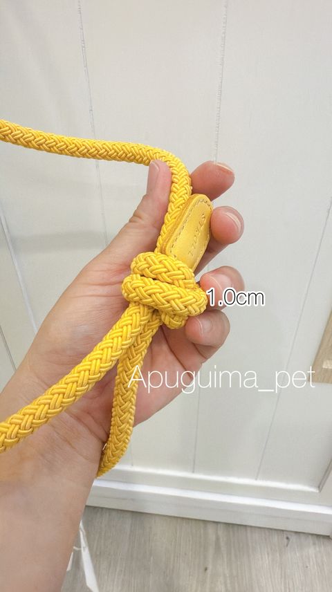 photo-output