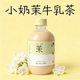 茉莉 Jasmine
