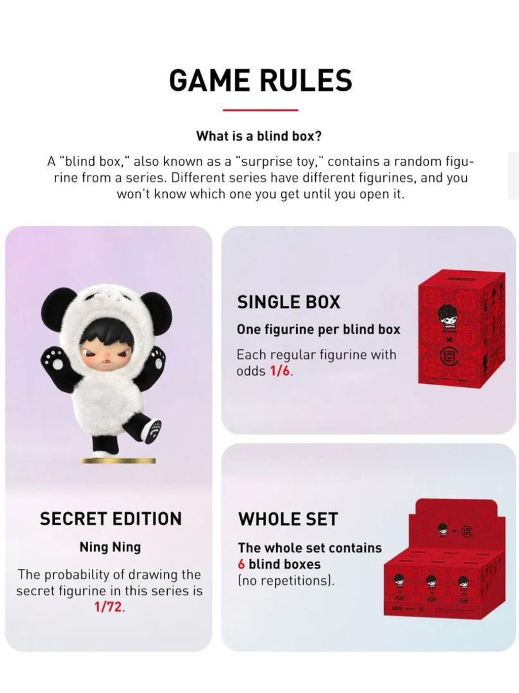 WhatsApp Image 2025-02-19 at 4.33.45 PM (1)