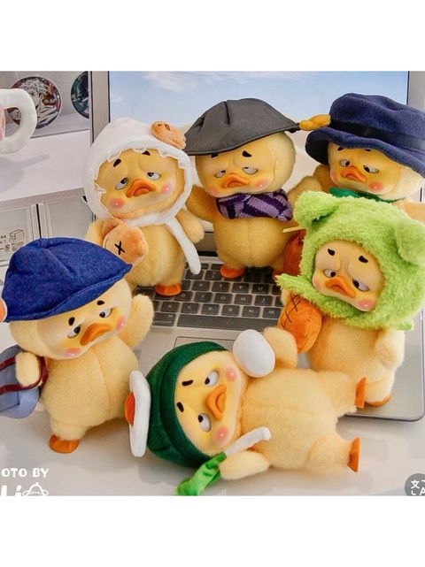 WhatsApp Image 2025-03-04 at 9.22.16 PM