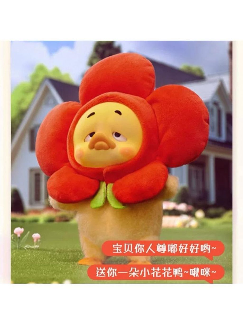 WhatsApp Image 2025-03-04 at 9.12.08 PM (1)