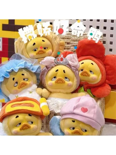 WhatsApp Image 2025-03-04 at 9.12.08 PM (2)