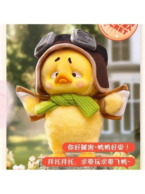 WhatsApp Image 2025-03-04 at 9.12.08 PM