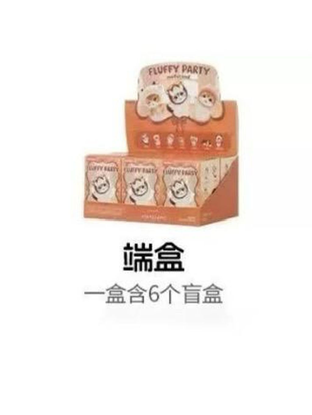 WhatsApp Image 2025-06-19 at 4.20.07 PM (1)