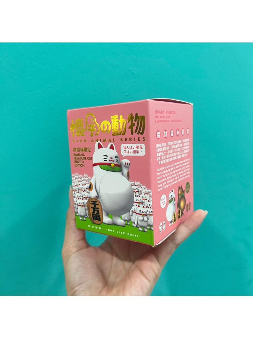 WhatsApp Image 2025-07-01 at 2.04.39 PM (3)