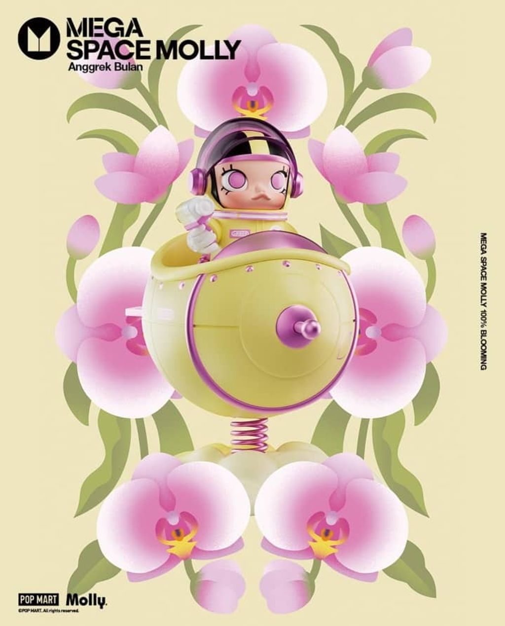 WhatsApp Image 2025-07-08 at 7.15.19 PM