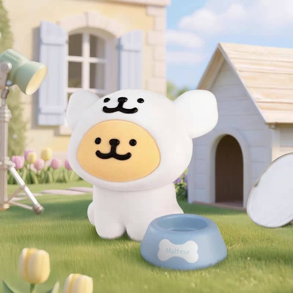 WhatsApp Image 2025-07-17 at 9.41.42 PM