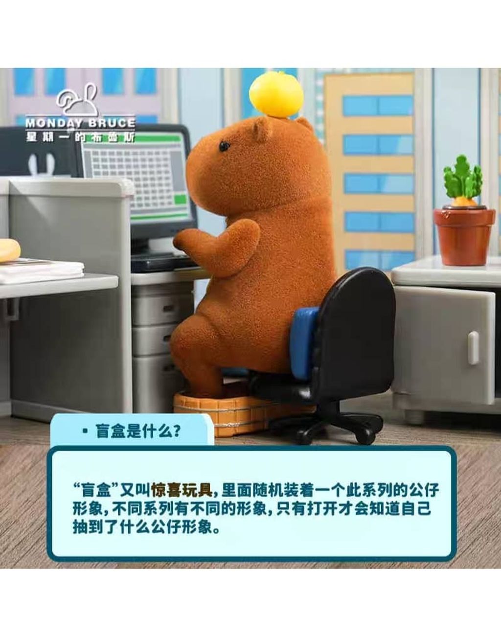 WhatsApp Image 2025-07-24 at 7.57.14 PM (1)