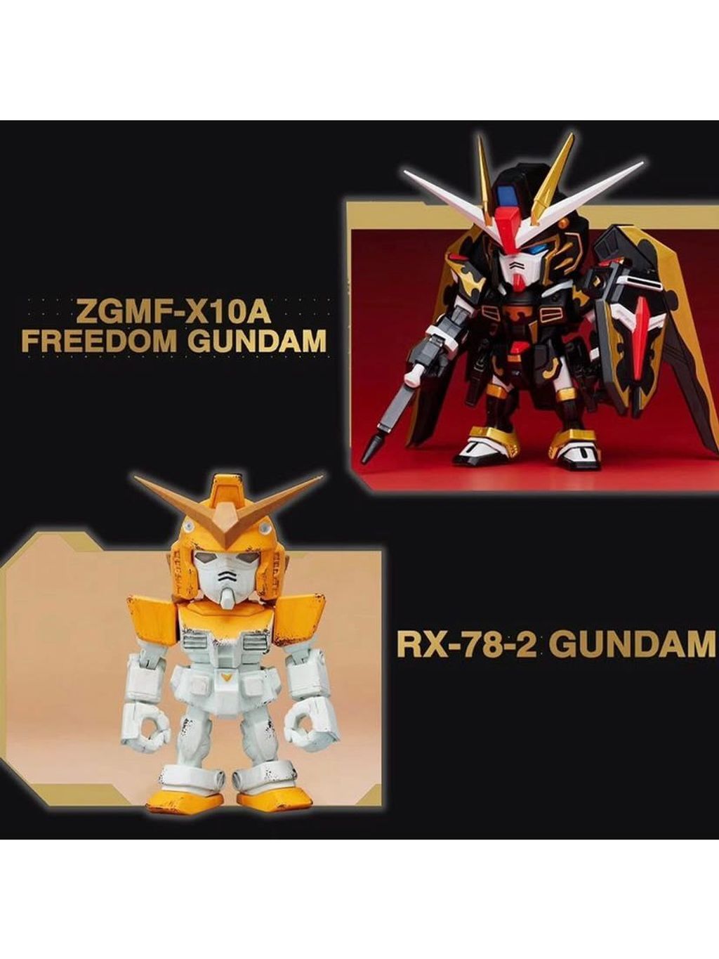 WhatsApp Image 2025-08-08 at 2.08.07 PM (1)