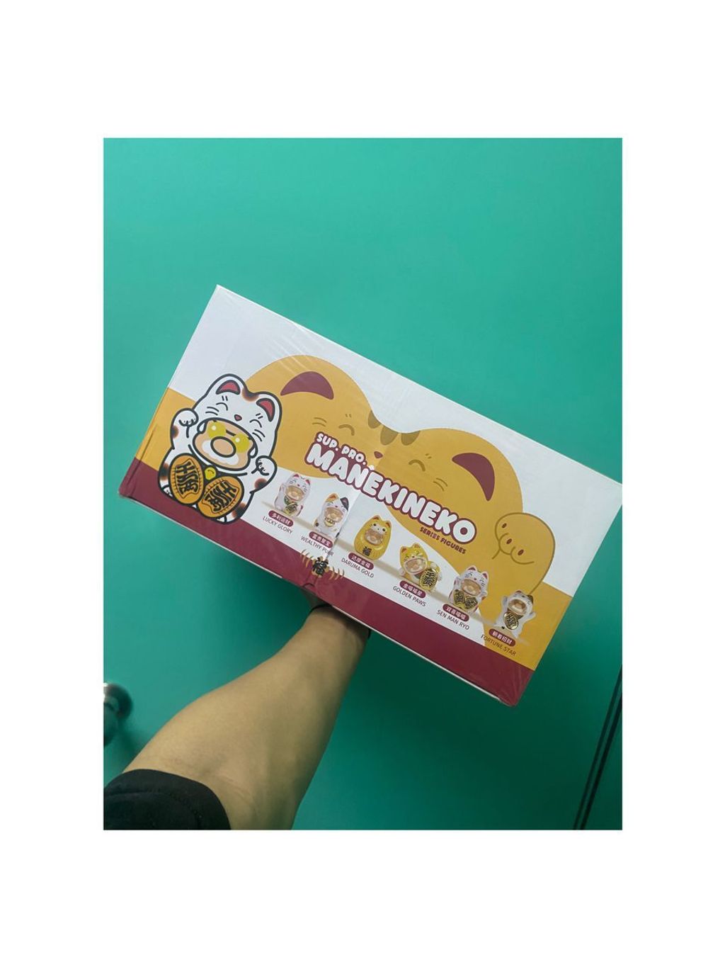 WhatsApp Image 2025-08-26 at 2.47.42 PM