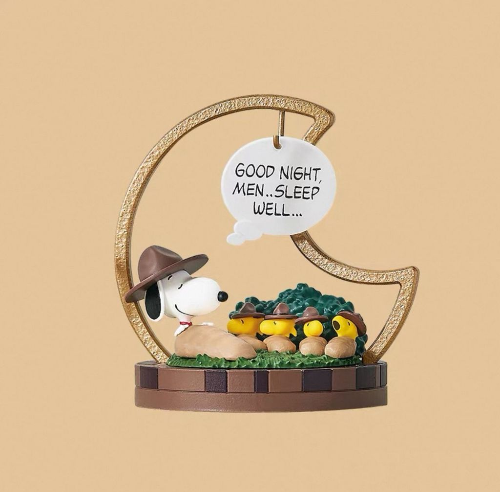 WhatsApp Image 2025-10-11 at 8.41.28 PM