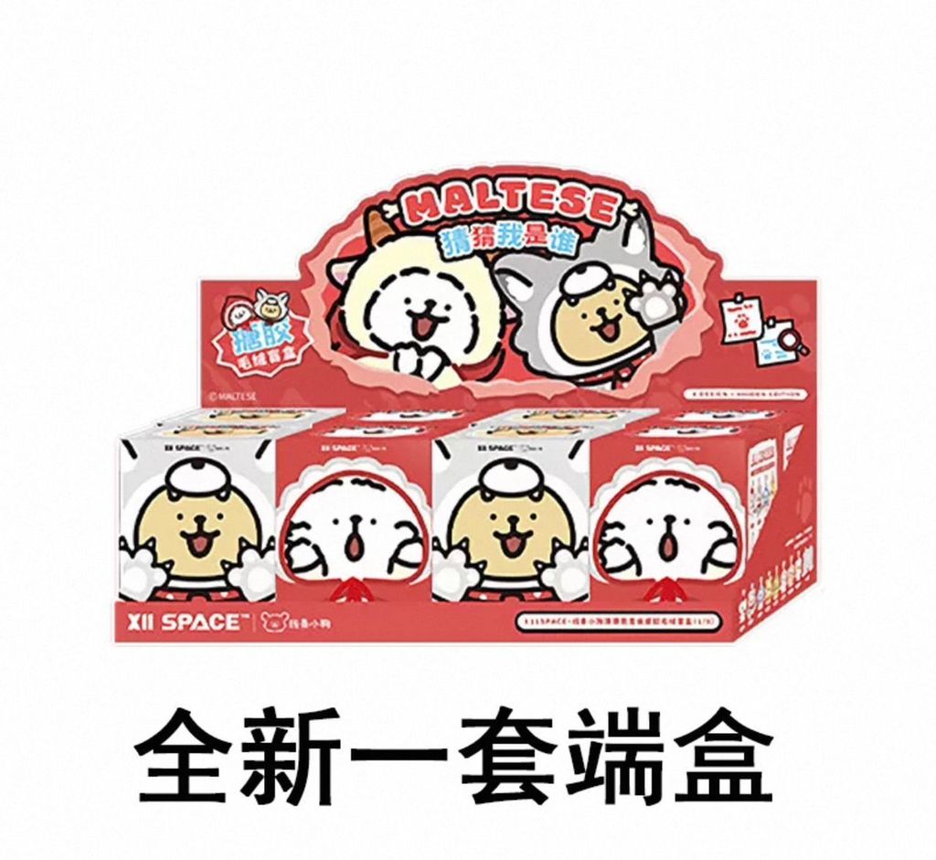 WhatsApp Image 2025-12-20 at 6.48.25 PM (1)