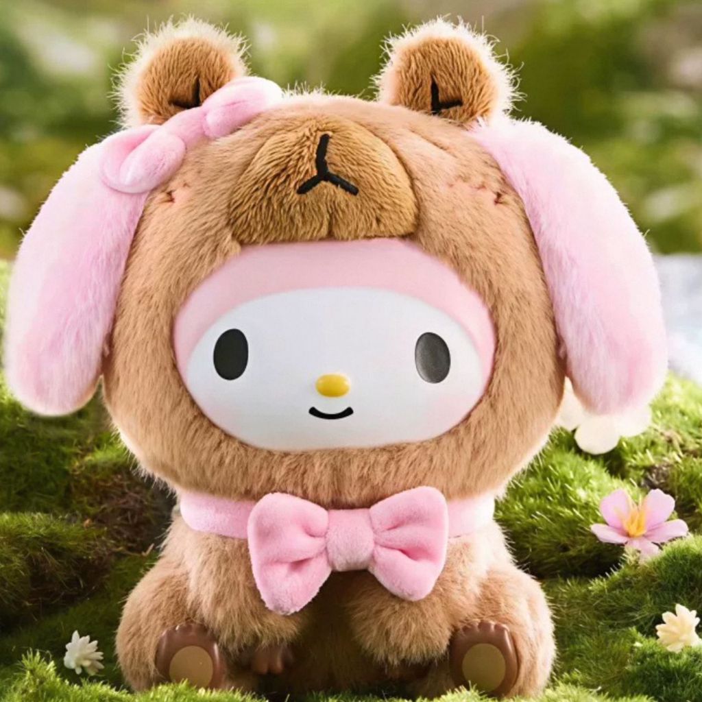 WhatsApp Image 2025-12-20 at 10.52.29 PM