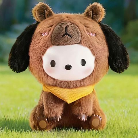 WhatsApp Image 2025-12-20 at 10.52.29 PM (1)