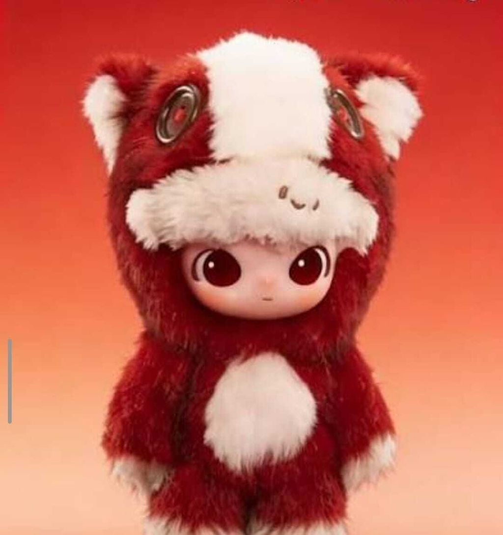 WhatsApp Image 2026-01-17 at 12.50.01 PM